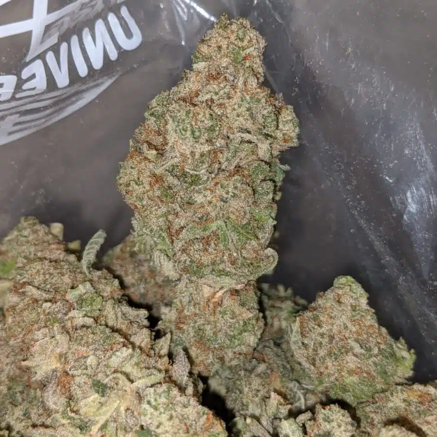tonys miracle alien cookies 4 I Tony's Miracle Alien Cookies