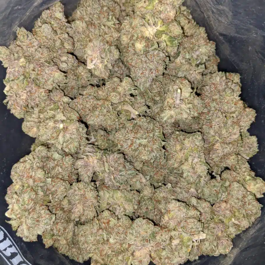 tonys purple kush 1 I Tony's Purple Kush
