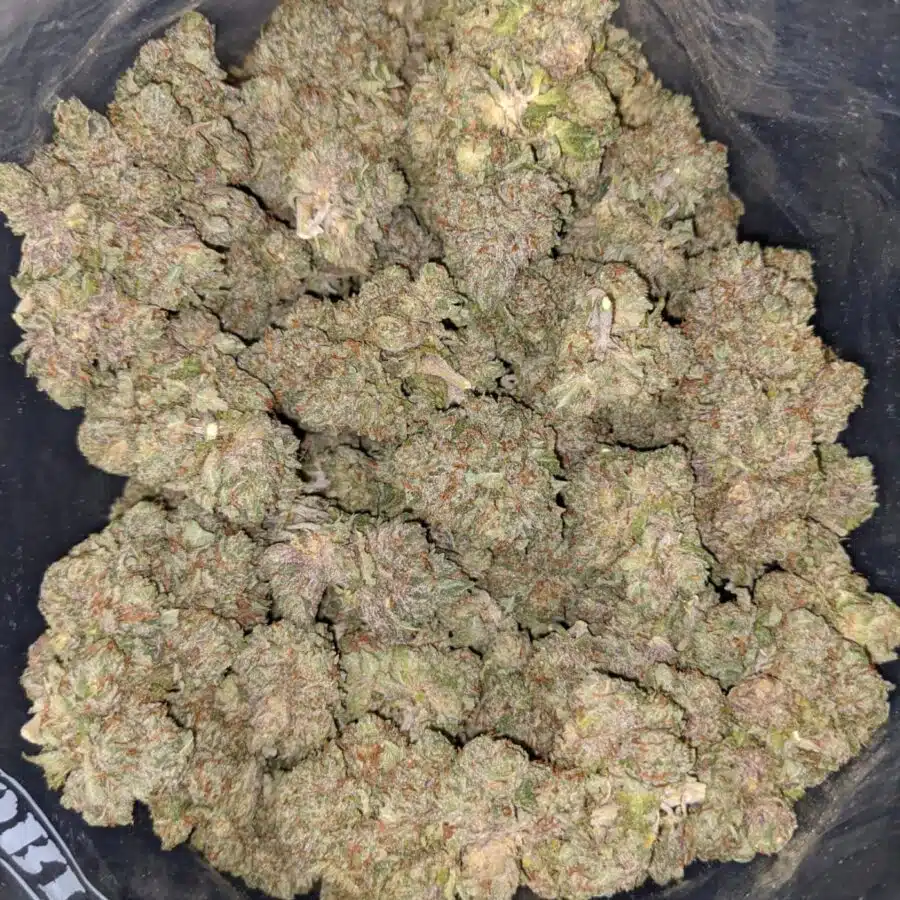tonys purple kush 2 I Tony's Purple Kush