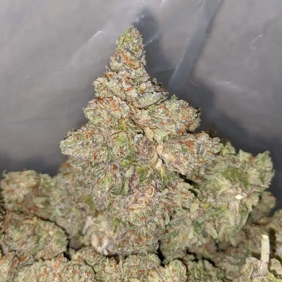 tonys purple kush 3 I Tony's Purple Kush