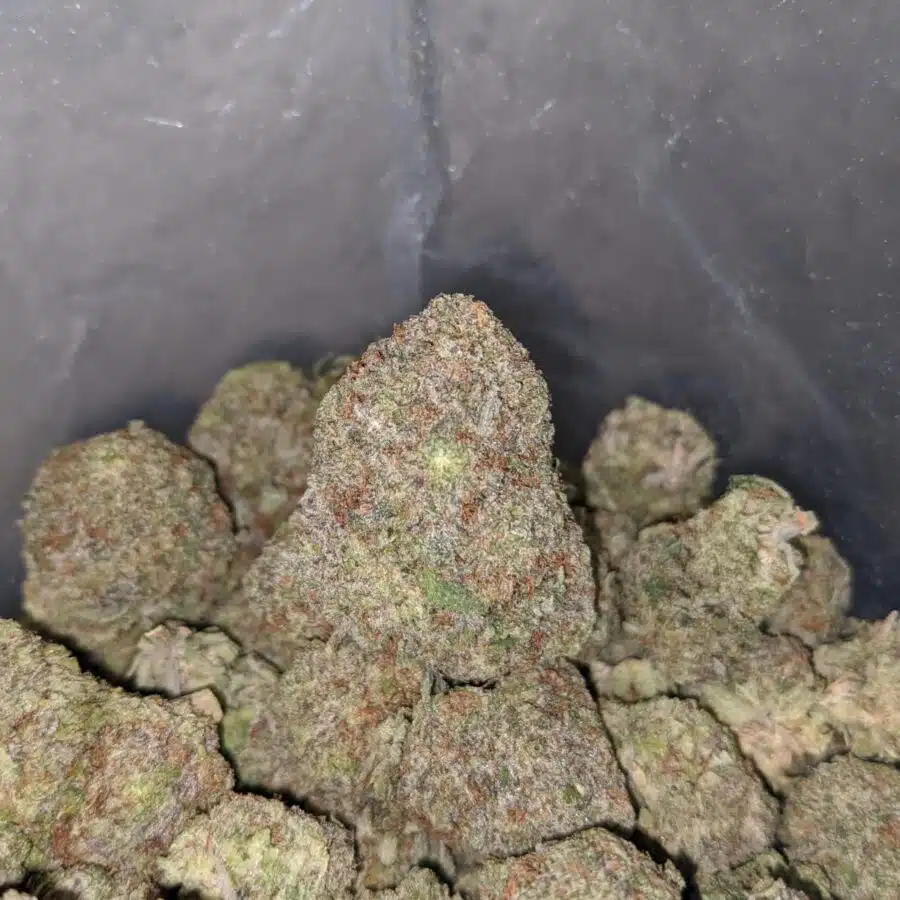 white durban 3 I White Durban
