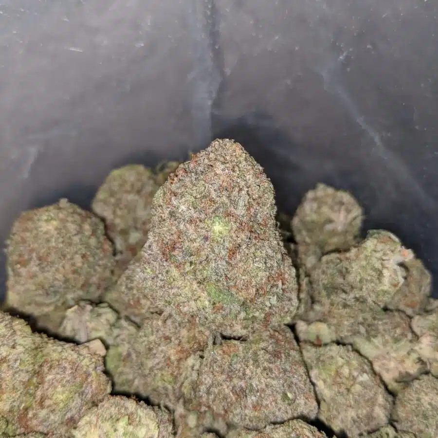 white durban 4 I White Durban