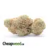 Agent Orange - *Deal Of The Day* (Smalls)
