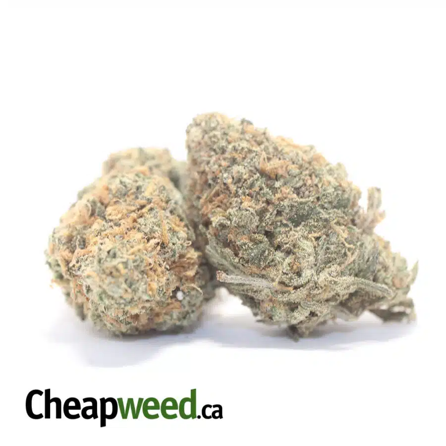 Alternative view of Chemdawg OG