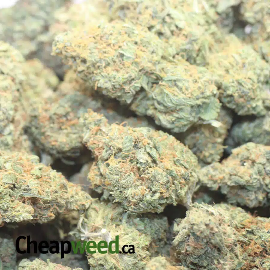 COSMIC DIESEL 1 I Cosmic Diesel