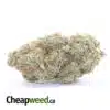 Cosmic Diesel