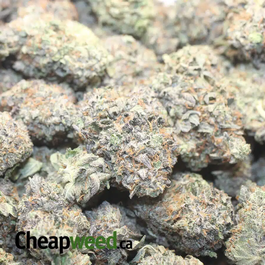GF HG 1 I $ 107 Oz - Darth Vader