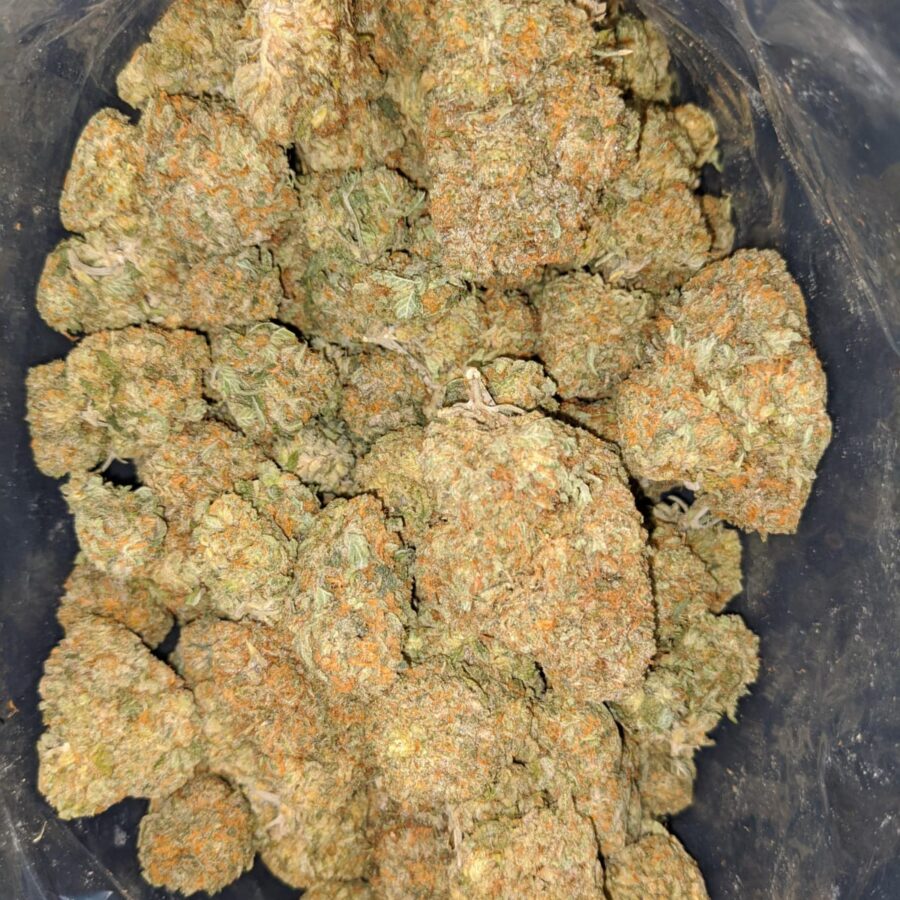 High Octane X Jetfuel - Image 2
