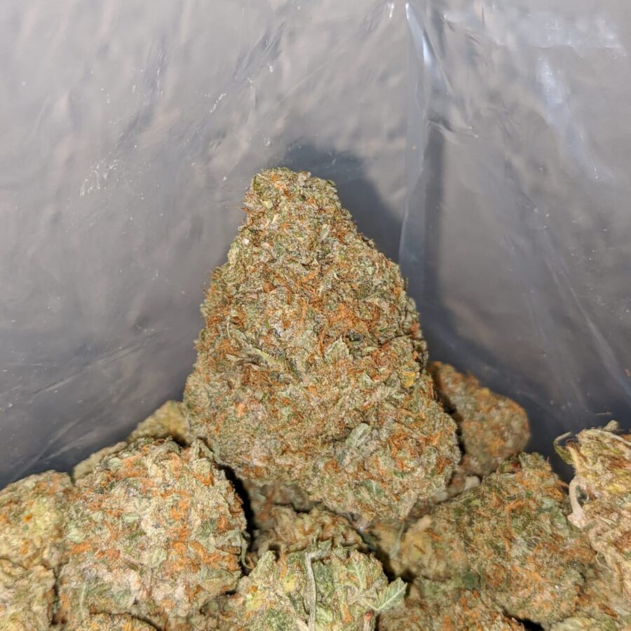 High Octane X Jetfuel - Image 5