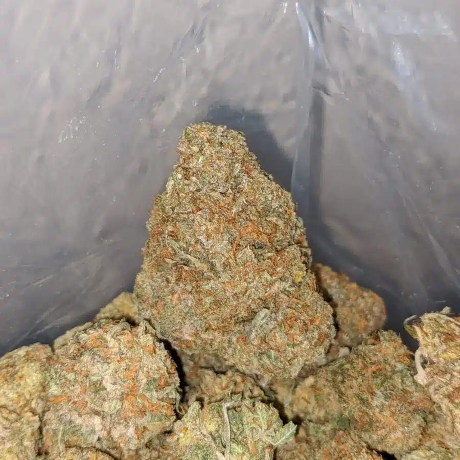 HIGH OCTANE X JETFUEL 3 I High Octane X Jetfuel