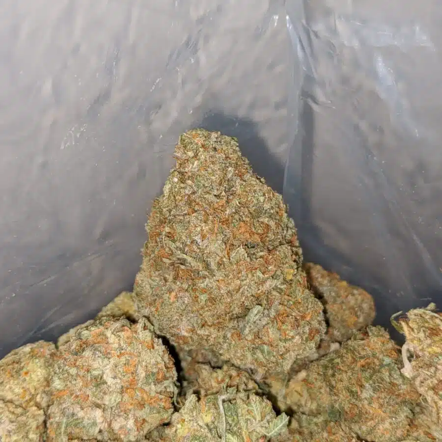 HIGH OCTANE X JETFUEL 4 I High Octane X Jetfuel