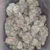 Jack Diesel