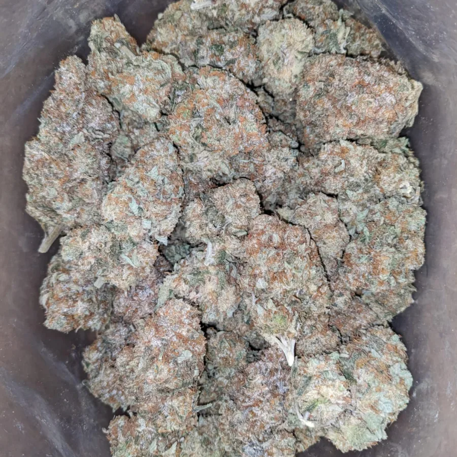 Jack Diesel - Image 3