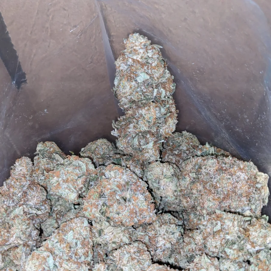 Jack Diesel - Image 5
