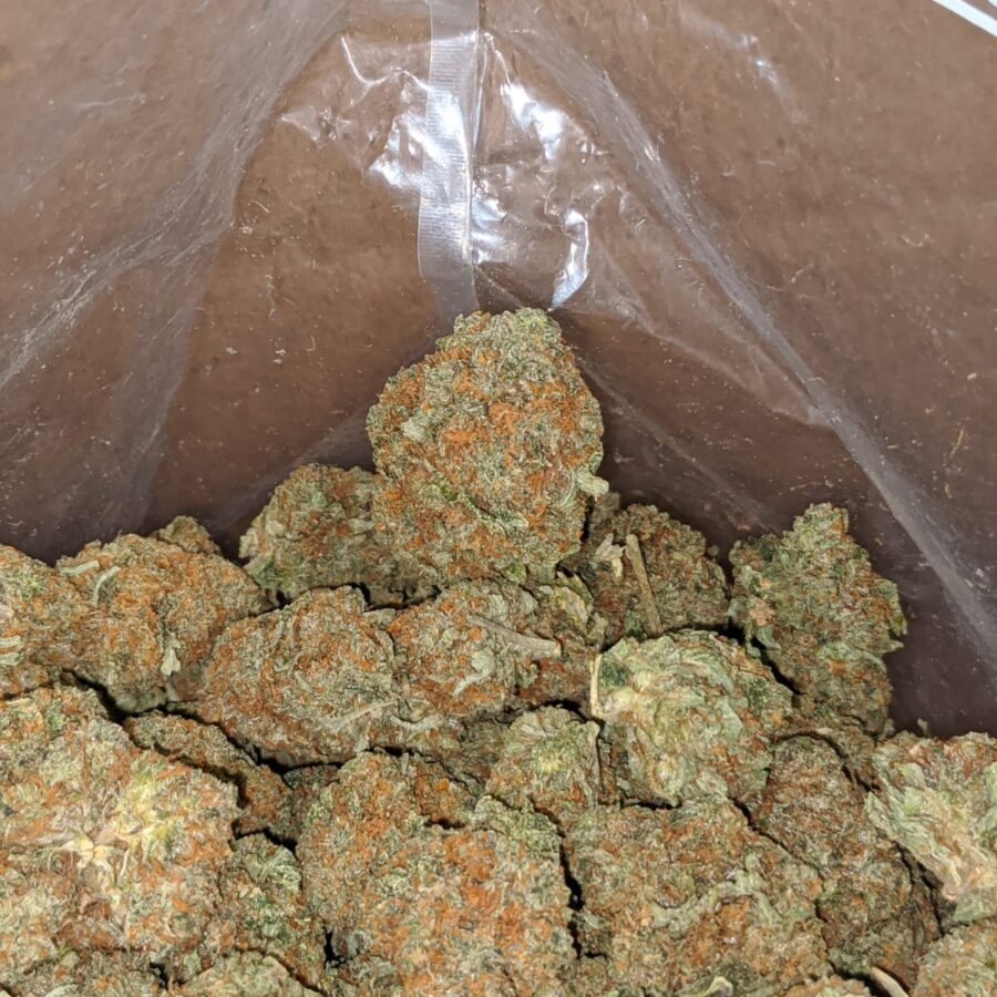 Kubbie kush 1 I Kubbie Kush