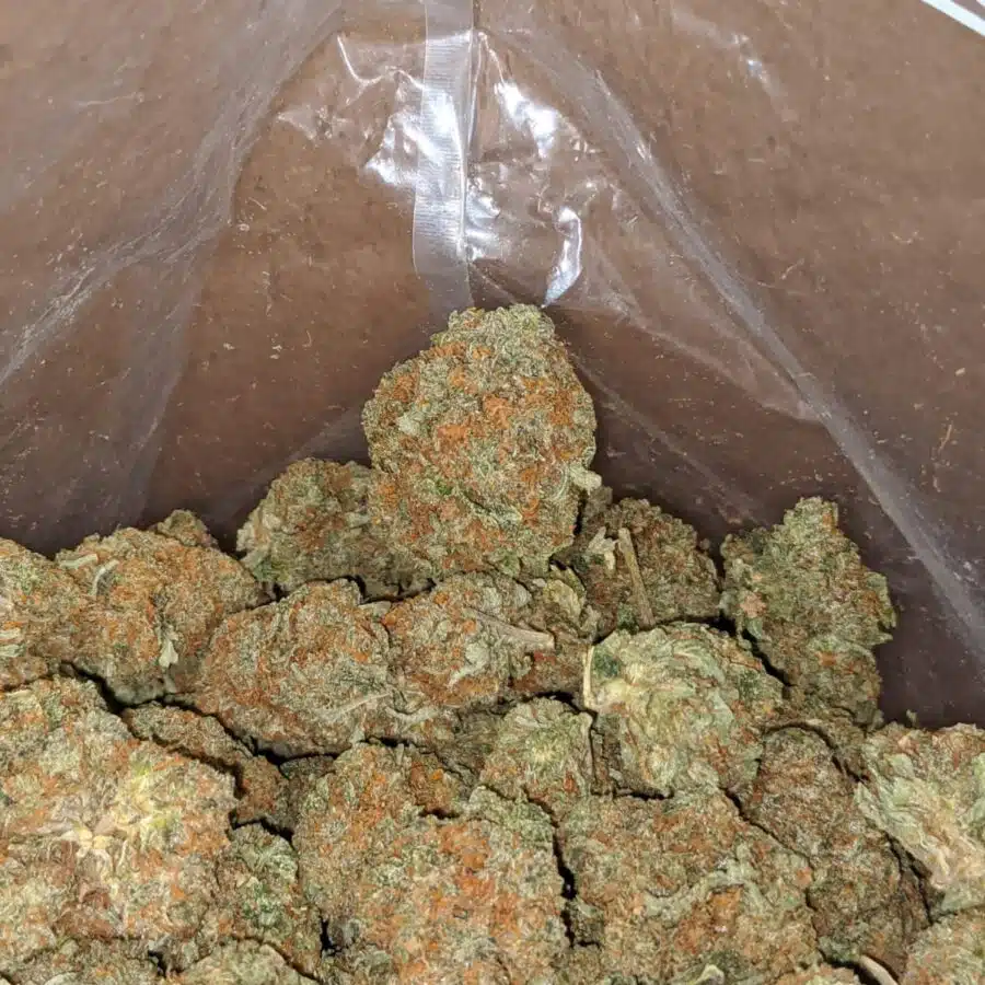 Kubbie kush 1 I $ 43 Oz - Kubbie Kush