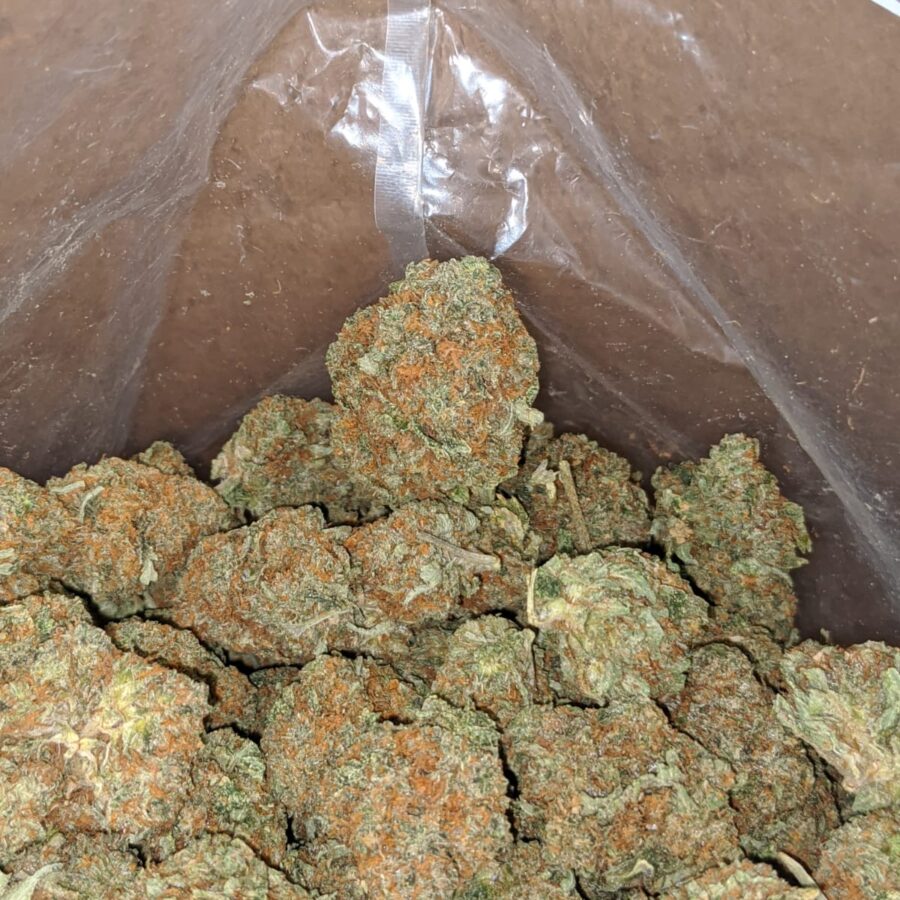 Kubbie kush 2 I Kubbie Kush