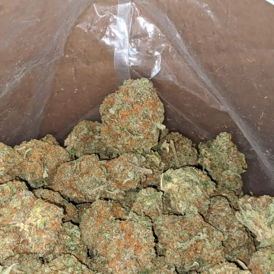 Kubbie kush 2 I $ 43 Oz - Kubbie Kush