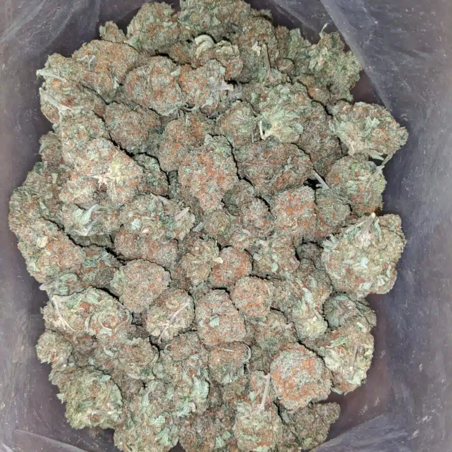 Kubbie kush 4 I $ 43 Oz - Kubbie Kush
