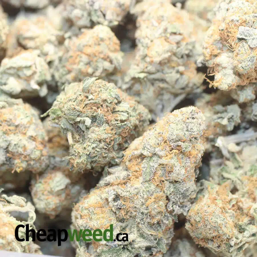 OREO COOKIES 1 I $ 71 Oz - Sunset Sherbert