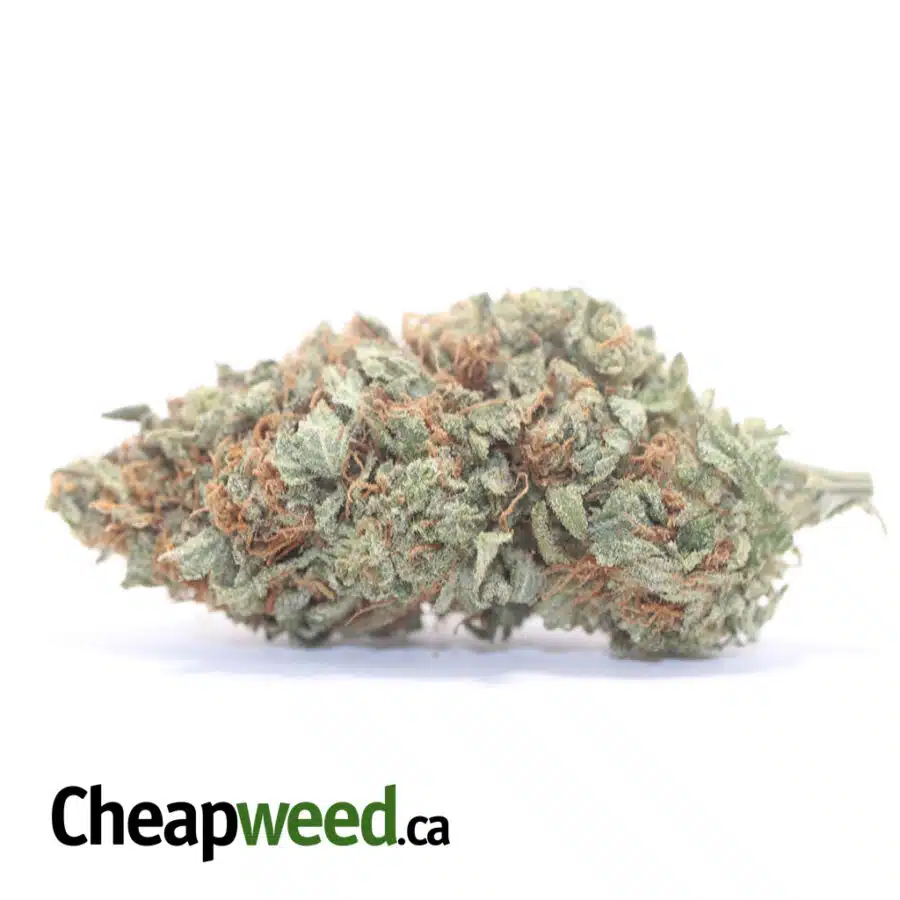 Pineapple Diesel