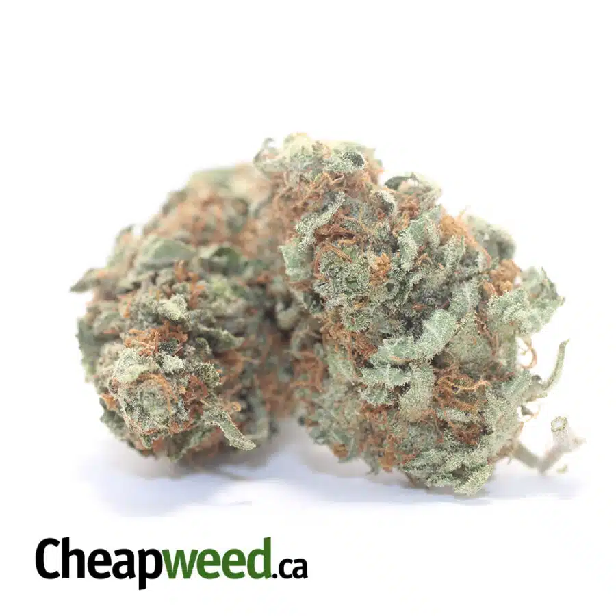 Alternative view of Pineapple Diesel