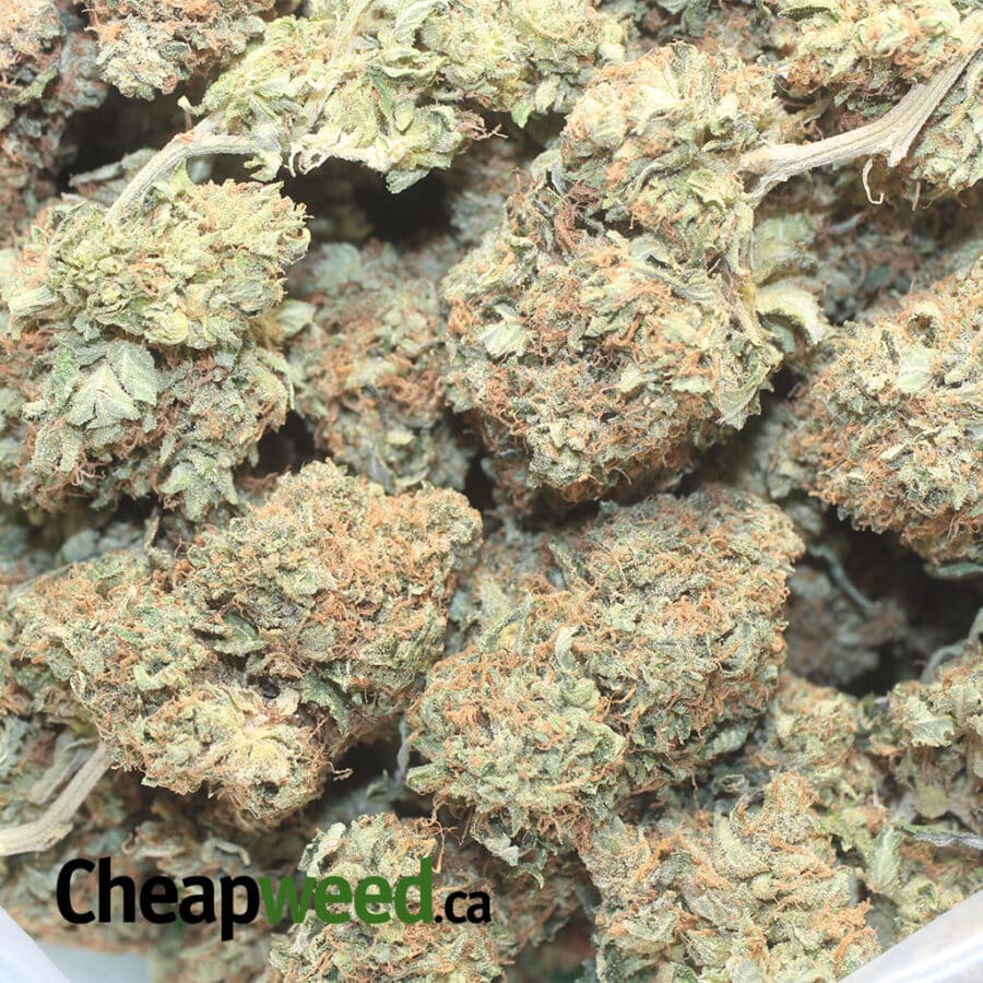 PINK OG WRECK 1 I Pink OG Wreck