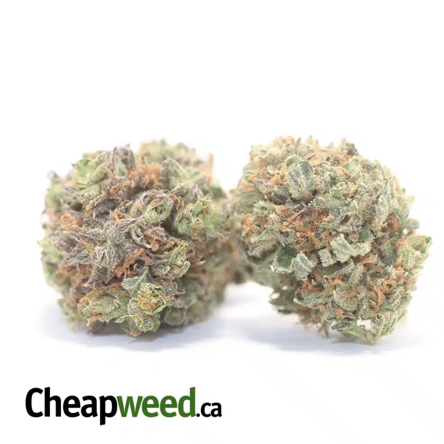 Alternative view of Platinum DoSi Cookies
