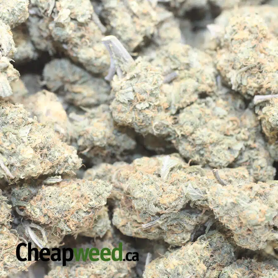 SB B 1 I Strawberry Banana