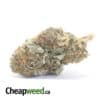 Sour OG Kush