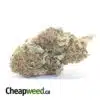 Sour OG Kush