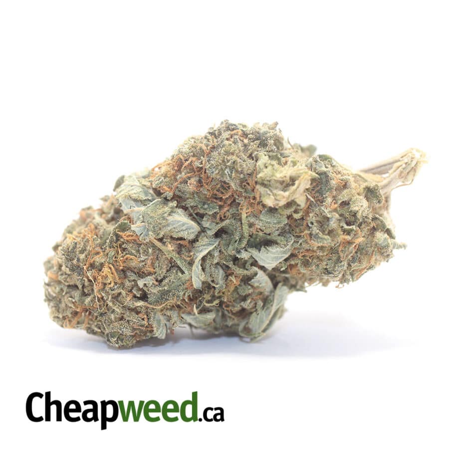 Sour OG Kush