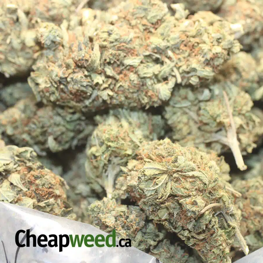 T LOG DOD 1 I Tony's Lindsay OG - *Deal Of The Day*