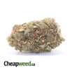 Tony's Lindsay OG - *Deal Of The Day*