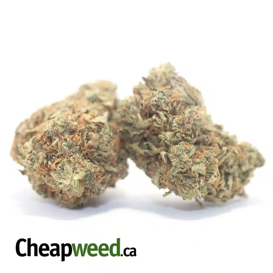 Alternative view of Tony's Lindsay OG - *Deal Of The Day*