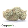 Thin Mint Girl Scout Cookies