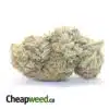 Thin Mint Girl Scout Cookies