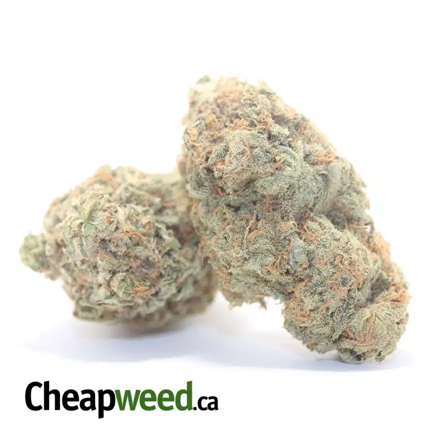 Alternative view of Thin Mint Girl Scout Cookies