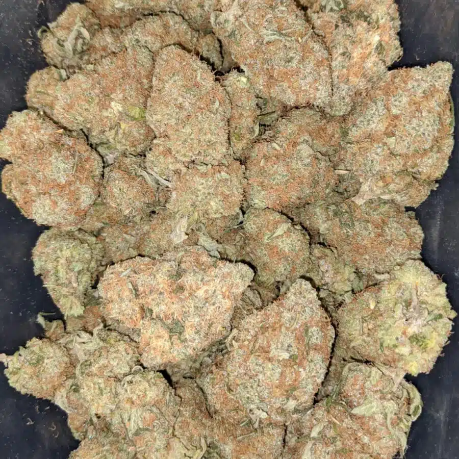 White Cheese
