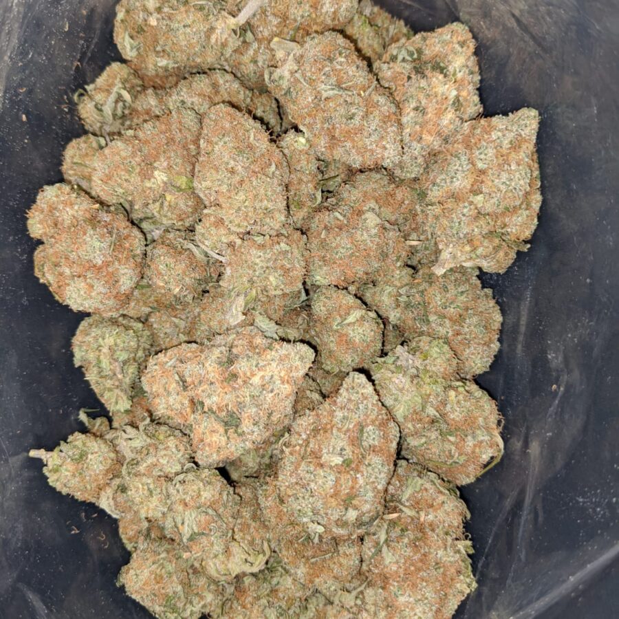 WHITE CHEESE 2 I White Cheese