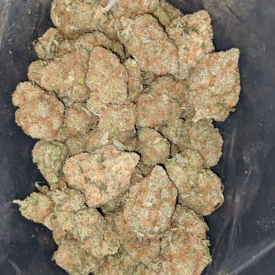 Alternative view of White Cheese