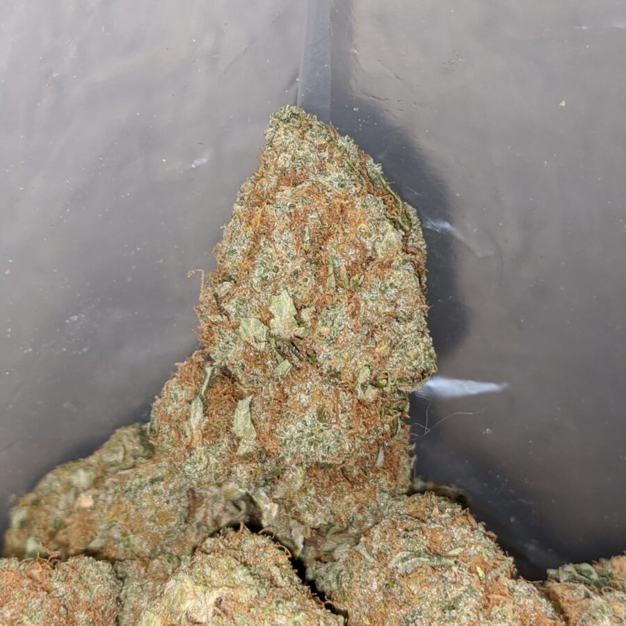 WHITE CHEESE 4 I White Cheese