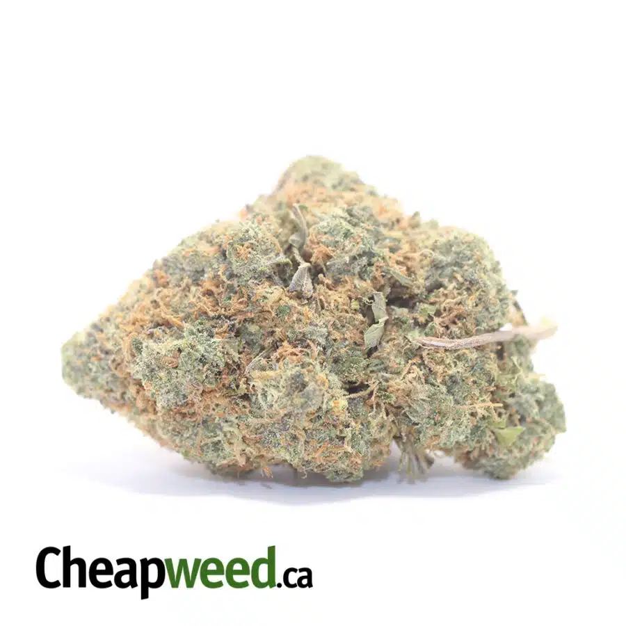 $ 65 Oz - White Truffle