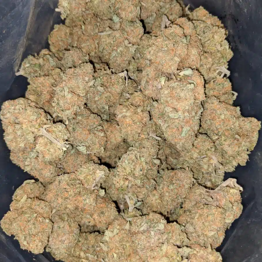 Alternative view of $65 Oz - Yogurt