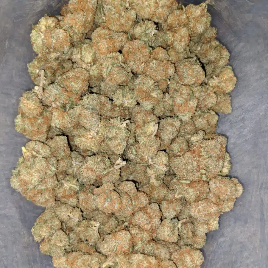 agent orange deal of the day smalls 1 I Agent Orange - *Deal Of The Day* (Smalls)
