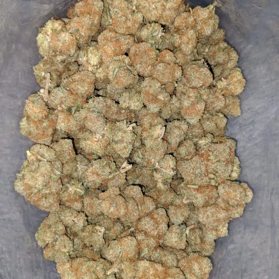 agent orange deal of the day smalls 2 I Agent Orange - *Deal Of The Day* (Smalls)