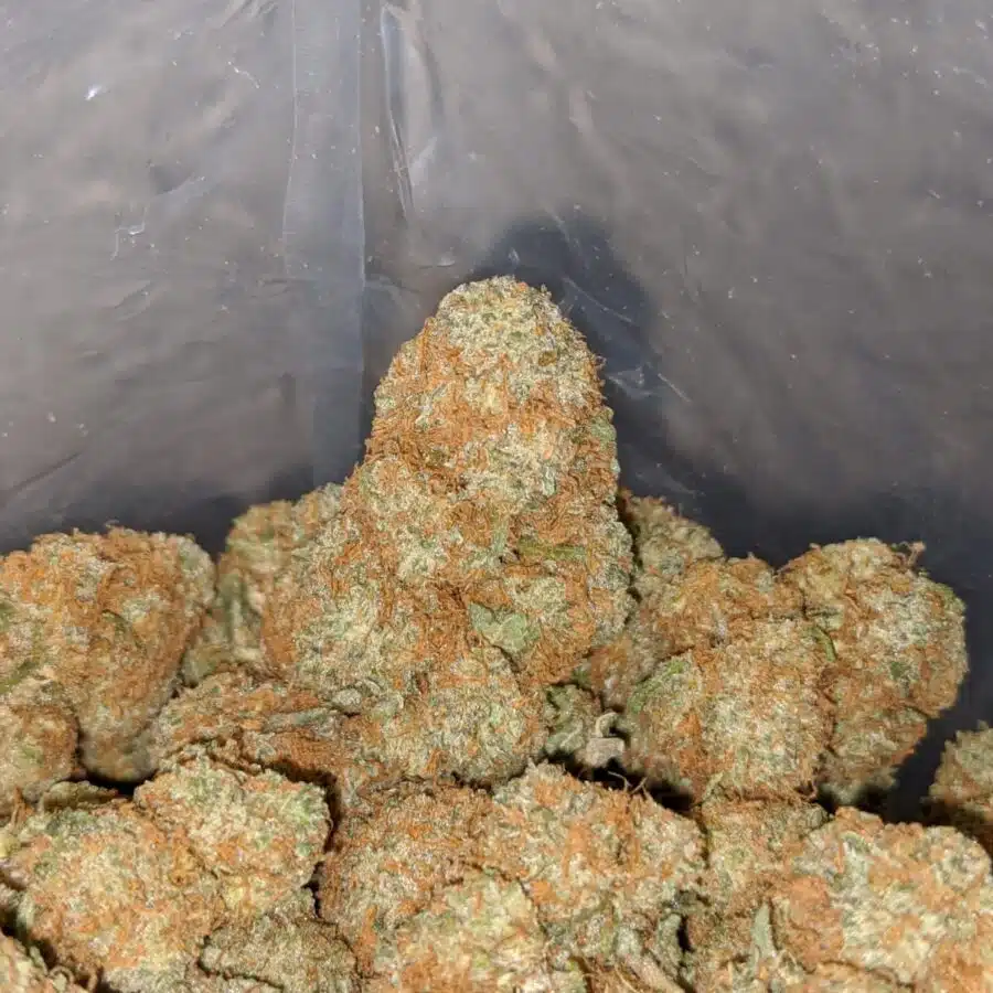 agent orange deal of the day smalls 3 I Agent Orange - *Deal Of The Day* (Smalls)
