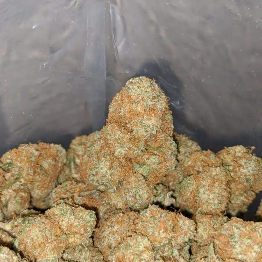agent orange deal of the day smalls 4 I Agent Orange - *Deal Of The Day* (Smalls)