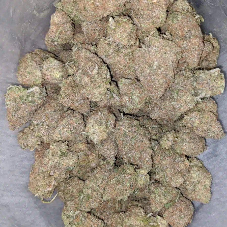 black cherry punch 1 I Black Cherry Punch
