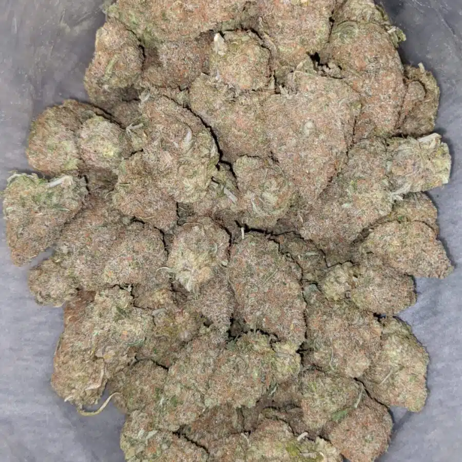 black cherry punch 2 I Black Cherry Punch